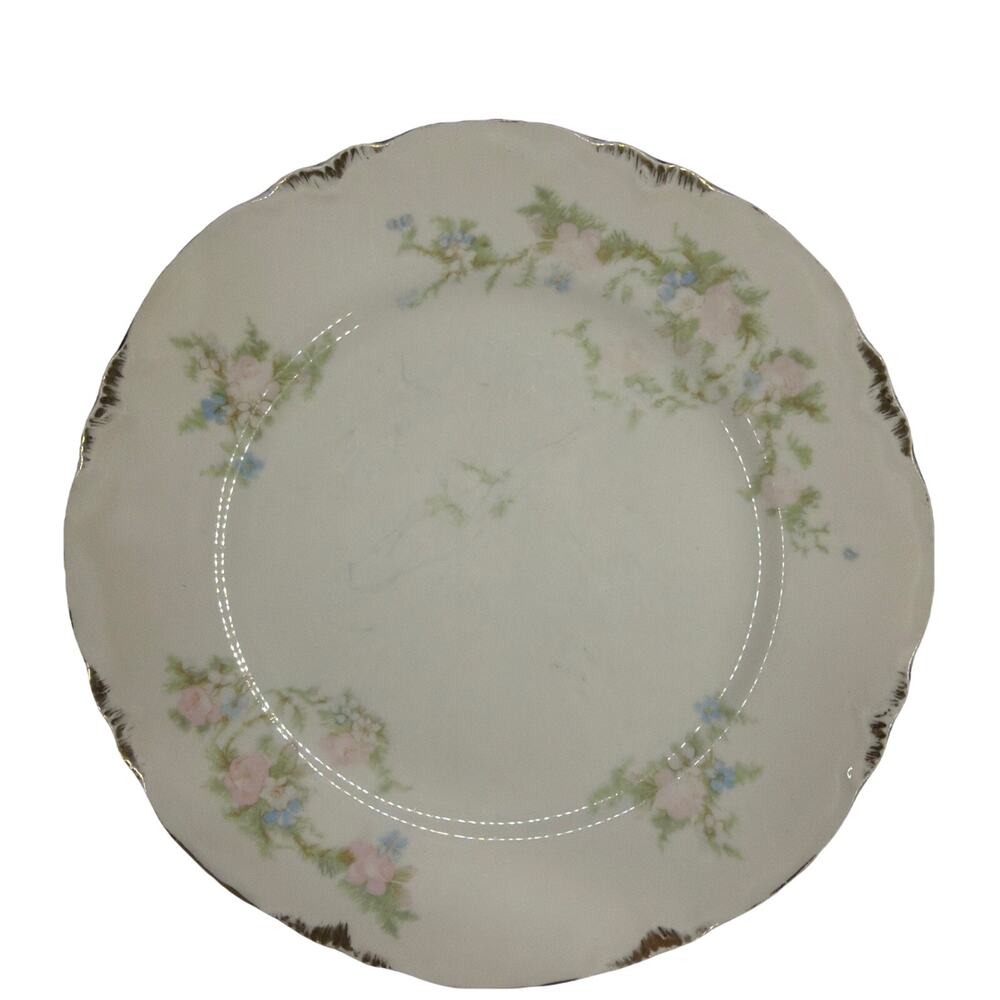 Taylor Smith Taylor Plate Wild Briar Rose 12394 Embossed Gold Rim Cottage Core